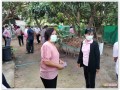 ขอยกย่องเชิดชูเกียรติครัวเรือนต้นแบบในการบริหารจัดการขยะ ... Image 1